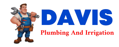 Trusted plumber in CONCHAS DAM